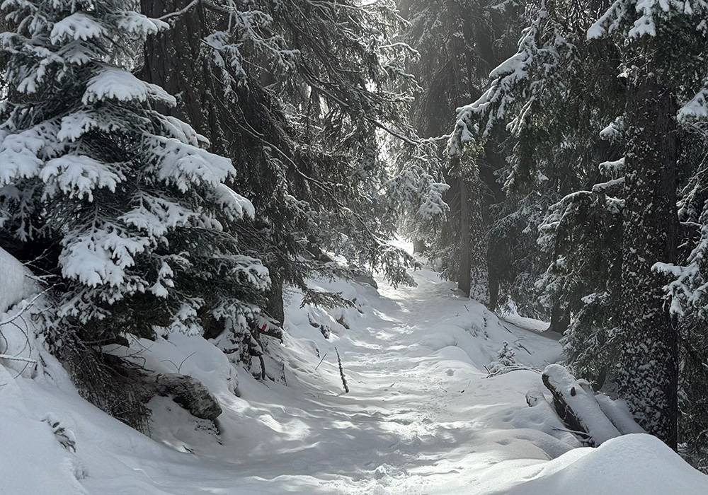 Somatic Experiencing® Somatic Experiencing®